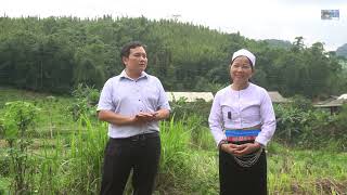 NGHỆ NHÂN BÙI VĂN HÀNH HÁT THUA NGHỆ NHÂN MỚI Ở PHÚ VINH