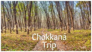 Chokkana Trip