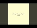 Tranquil Shadow Fragile