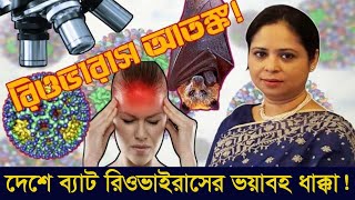 প্রথমবারের মতো দেশে ভয়াবহ ব্যাট রিওভাইরাস শনাক্ত, ছড়ায় যেভাবে !