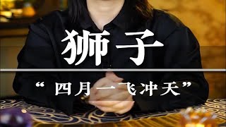 【老师工作📮：taoziniuer】“狮子四月一飞冲天” 十二星座爱情分手挽回狮子座