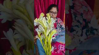 বরমশাই এর সায়েরি শুনে I'm তো অবাক  #viralshort #viralvideo #shorts