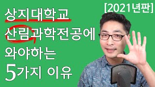 상지대학교 조경산림학과 산림과학전공에 와야 하는 5가지 이유(2021년판)