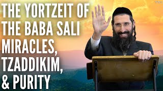 The Yortzeit of The Baba Sali - Miracles, Tzaddikim, & Purity