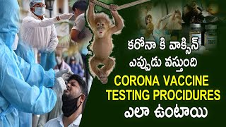 కరోనా కి వాక్సిన్ ఎప్పుడు వస్తుంది - Corona Vaccine Testing Procudures ఎలా ఉంటాయి  FrontLinesMedia