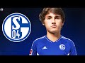 Tiago Ferreira 2024 - Welcome to Schalke 04 - Best Skills & Goals | HD