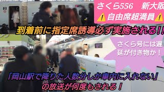 【2024年年末年始Uターン混雑開始❗️・16時台になり混雑レベルアップ】さくら556号ほぼ全ての指定席誘導実施‼️遅延も重なり自由席激混みでデッキ通路満杯になり3分停車し再び超満員で乗車難航！