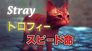 【Stray】 トロフィー「 スピード命」参考動画 【ネタバレ注意】