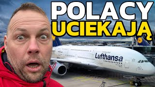 Poles ARE FLEEING from Ireland! The truth that no one talks about