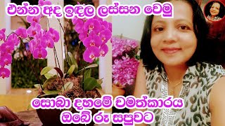 එන්න අද ඉඳල ලස්සන වෙමු.චමත්කාරජනක ජීවිතයකට මඟ Charming Life for you / from my Charm Life