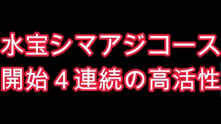 釣り堀水宝シマアジコーナー　開始４匹連続　高活性!!!　今が旬の美味ゲット