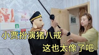 阿莲姐举办草根大舞台，给小贾准备猪八戒道具，网友：这也太像了