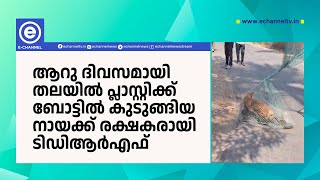 ആറു ദിവസമായി തലയിൽ പ്ലാസ്റ്റിക്ക് ബോട്ടിൽ കുടുങ്ങിയ നായക്ക് രക്ഷകരായി ടിഡിആർഎഫ്