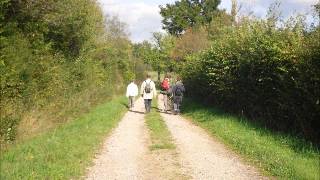 En Marchant Vers Toi Seigneur D 380 Chords Chordify