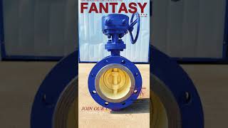 DN150 Butterfly Valve