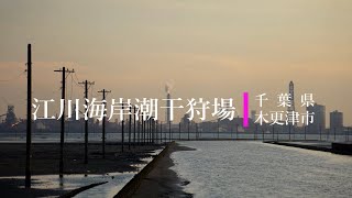 江川海岸潮干狩場【4K】千葉県木更津市2019