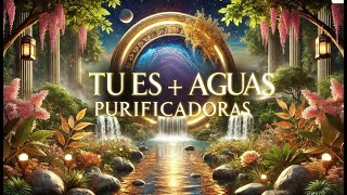 Tu és + Águas Purificadoras  - Consertando o Worship?