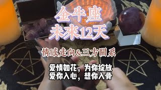 金牛座 未来12天情感走向\u0026三方关系：爱情如花，为你绽放