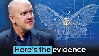 The Butterfly Was Designed