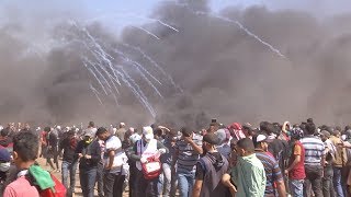 PLO’s Erekat gives statement after Gaza protests