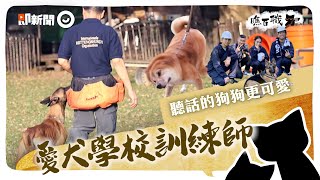 【瞧百職#06】體驗訓犬師的一天！聽話的狗狗更可愛  躲瓦礫堆竟然驚喜獲救｜鐶銶警犬學校