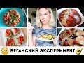 ПИТАЮСЬ КАК ВЕГАН ДВЕ НЕДЕЛИ, ЧЕМ ВСЕ ЗАКОНЧИЛОСЬ? 🌟Olya Pins