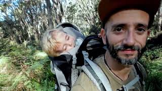 Te Puia Track, a toddlers adventure in the Kaweka Forest