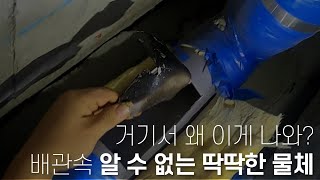 배관 속에 이상한 게 들어있어도 놀라지 말라!