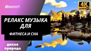 4K Ultra HD Видео диких животных 8D Стерео Пейзажи дикой природы с расслабляющей музыкой, для сна