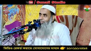 Maulana Saleh Ahmed  || Bangla New Waz || Sunali Studio