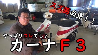 【愛車紹介】カーナＦ３　スズ菌必見！！