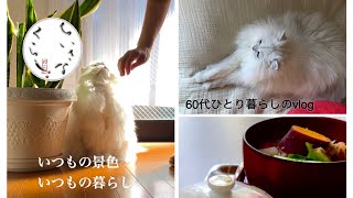 【60代ひとり暮らしのvlog】今年も自分のリズムと歩幅で／いつもの暮らし／残り野菜で常備菜