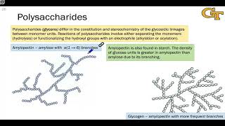 17.07 Polysaccharides