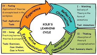 Kolb’s Experiential Learning Theory Explained Simply | 4-Stage Learning Cycle