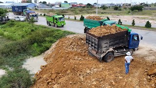 Just New activity.! Fill the soil Flooded land next to the road Use MITSUBISHI Dozer And Dump Trucks