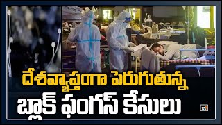 దేశ‌వ్యాప్తంగా పెరుగుతున్న బ్లాక్ ఫంగ‌స్ కేసులు..| Anti-Fungal Drug Amphotericin B Shortage In India