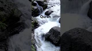 Quran Kareem|Surah Ahzab|Urdu Translation🤍🎀#shorts#short #shortbayan #youtubeshorts