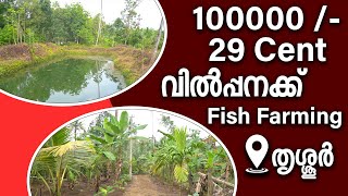 29 Cent Plot Sale In Thrissur | Suitable For Fish Farming | Contact Owner