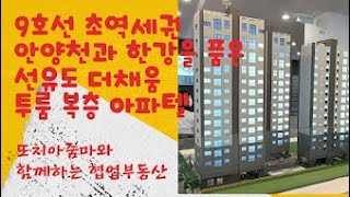 9호선 초역세권에 안양천과 한강을 품은 선유도 더채움 투룸 복층 아파텔을 소개합니다.   또치아줌마와 함께하는 협업부동산