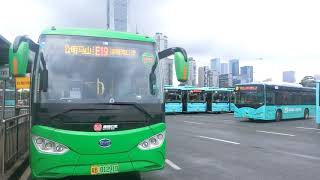 [Shenzhen Bus]西部公汽比亞迪C8純電動巴士 粵B 01291D@E19 電牌轉頁