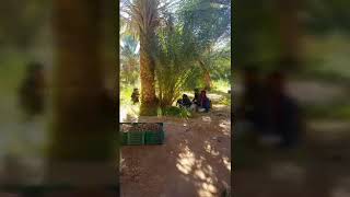 Week-end à Touggourt 2018