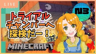 【マイクラ】Ｎ3鯖 トライアルチャンバーへ行くぞー！！