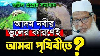 আদম (আ.) কে জান্নাত থেকে নামিয়ে না দিলেই কি সমস্ত মানুষ জান্নাতে থাকতো ? New Waz Adam and Hawa