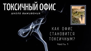 Токсичный офис. Почему офис может стать токсичным, даже если в нем соблюдают законы?