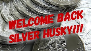 Who is Silver Husky???