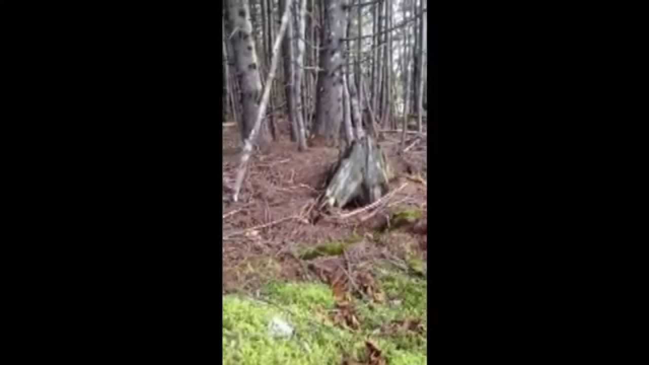 Breathing Earth Phenomenon Youtube
