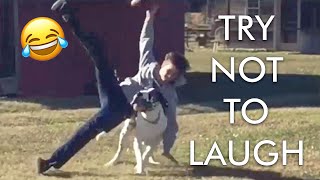 [2 HOUR] Try Not to Laugh Challenge! 😂 | Best Funny Animals & Fails | Funny s |