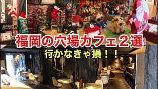 【福岡 穴場カフェ２選】デートで行きたい！１年中クリスマス一色のお店⁈ 季節関係なくクリスマス🎄#福岡グルメ #福岡カフェ