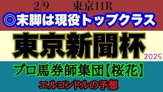 エルコンドル氏の東京新聞杯2025予想！！G1馬ブレイディヴェーグが貫禄見せるか！サクラトゥジュール連覇なるか？！またはウォーターリヒトの初重賞制覇も十分ある！