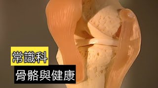 教育電視ETV: 小四至小六常識科-骨骼與健康｜健康生活｜